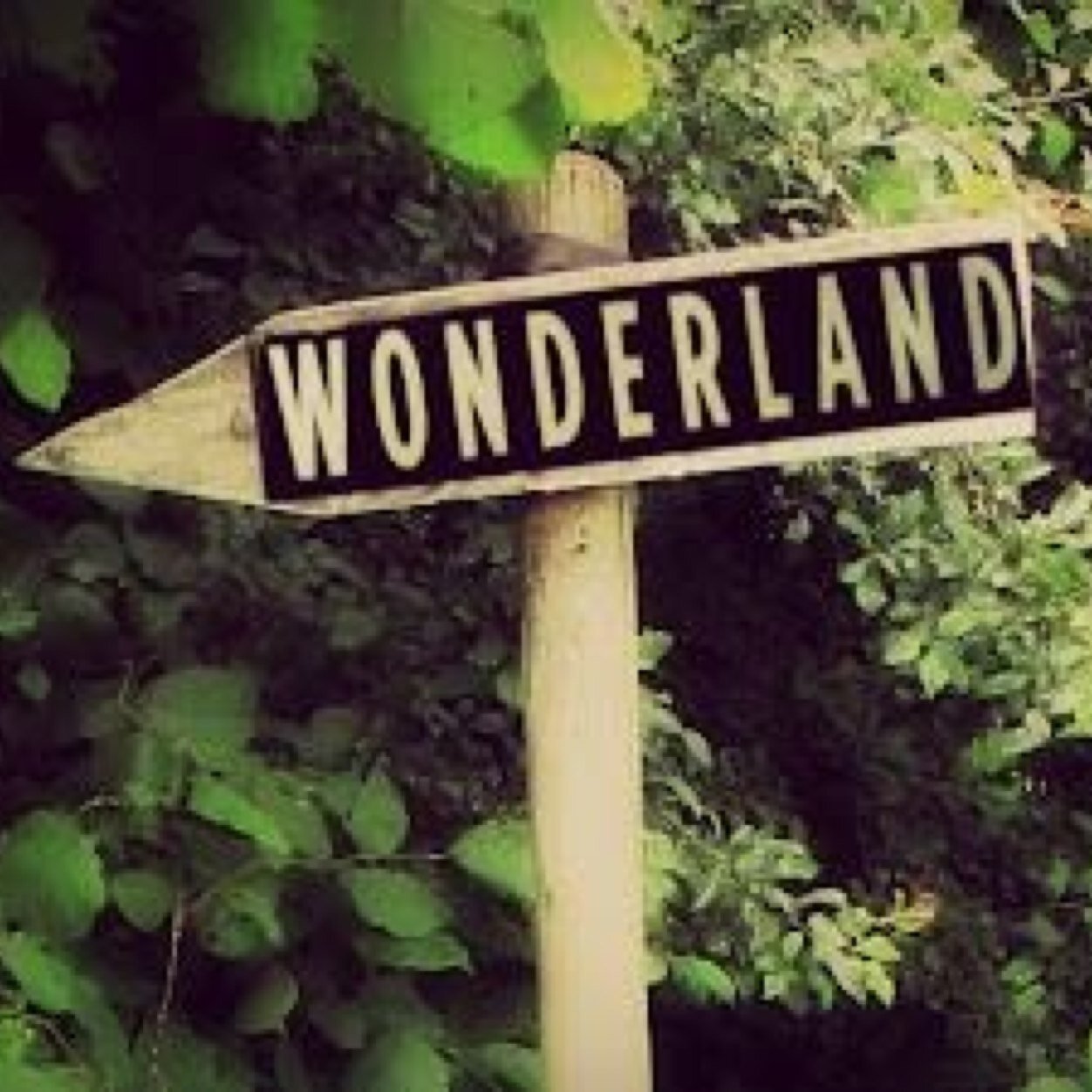 An ordinary girl living in an extraordinary world.