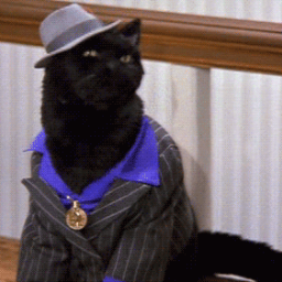 ZbadaLoutre's profile picture. 