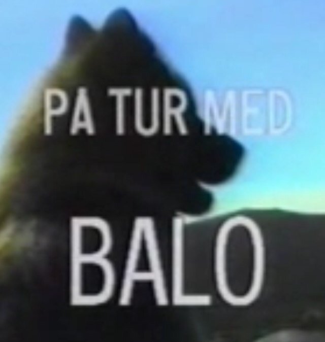 AETV_Tur's profile picture. 