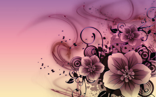 kimjunghwankl's profile picture. 