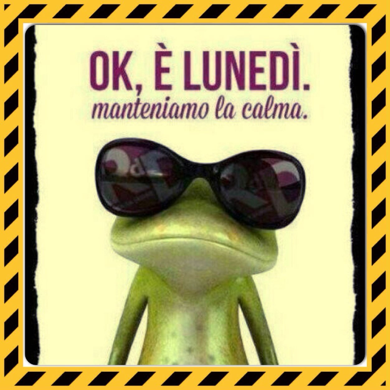 sinergiegreen's profile picture. 