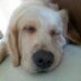 Aden (@aden62020918) Twitter profile photo Aden (@aden62020918) Twitter profile photo