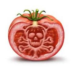 apa saja yg penting asik || TomatoAddict