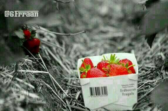 gadah121345's profile picture. 