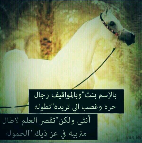 mymo900009's profile picture. وحدي وصلت العز لآخر موانيه 
أنــــــــــــــــــــــــــــثـــــــــ ــــــــــ ــــــــــــــــــــى ...
لكــن !!! عن ألفين رجــال