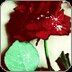 متفائلة (@012332105) Twitter
