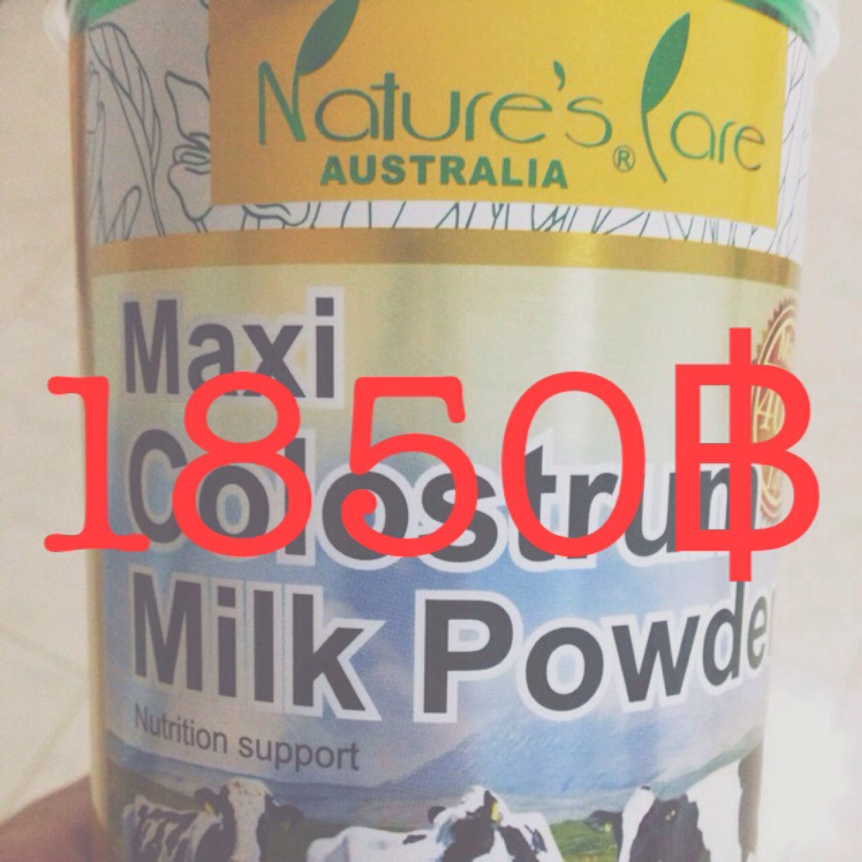 นมเพิ่มความสูง Maxi Colostrum Milk นำเข้าจากออสเตรเลีย สูงจริงของแท้ปลอดภัย100% 
           Ig;tallermilks
