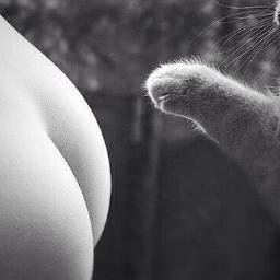 vkpornkitchen's profile picture. Здесь всегда утро.