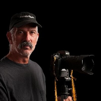 fotobrigno's profile image