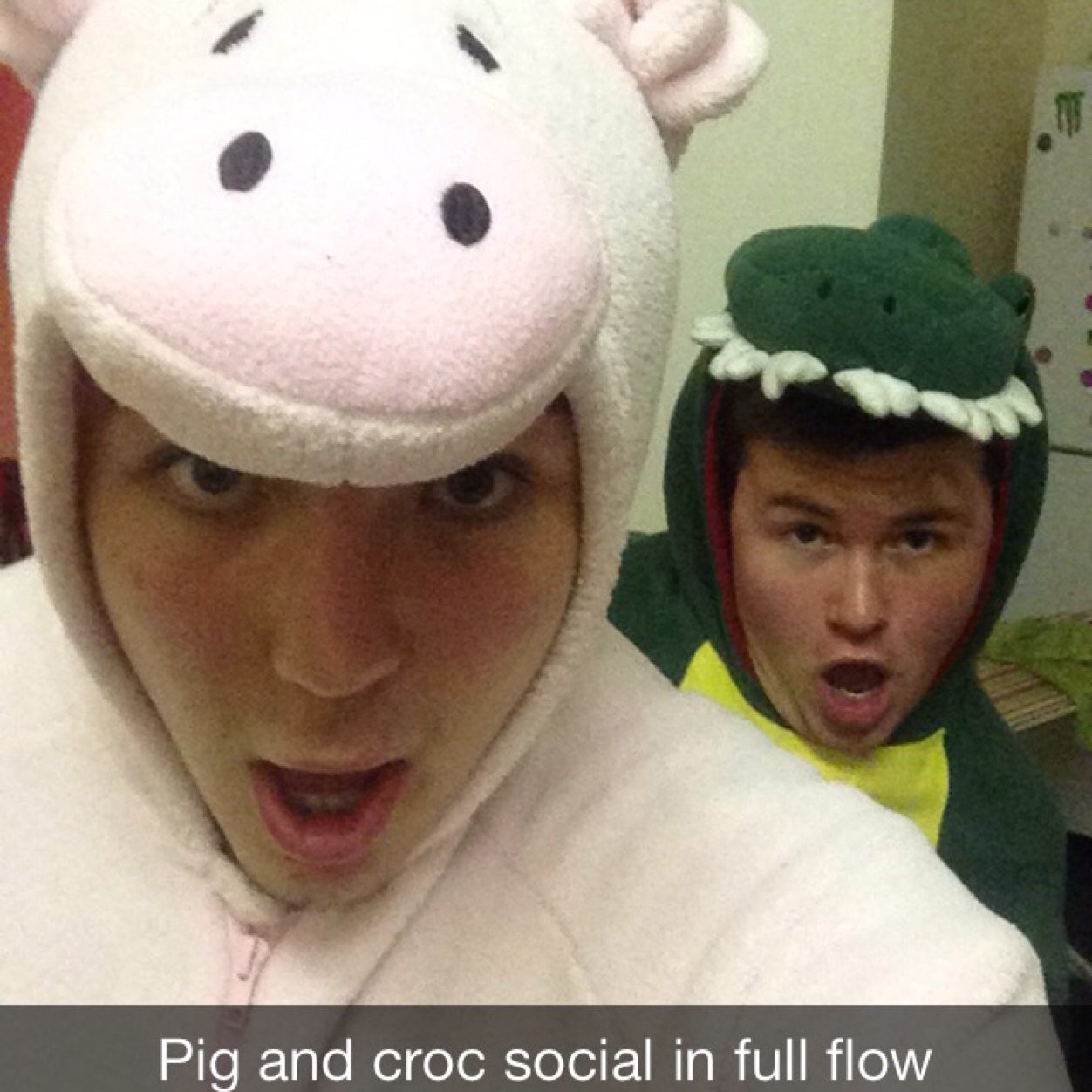 PignCrocReal's profile picture. 