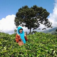 LuludBinar (@luludbinar) 's Twitter Profile