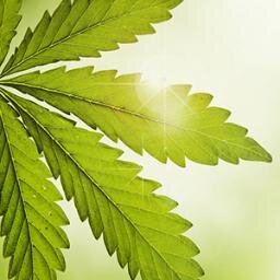 Canada's Online Resource