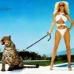 drosrendoco's profile picture. Знаешь - говори, а не знаешь - слушай