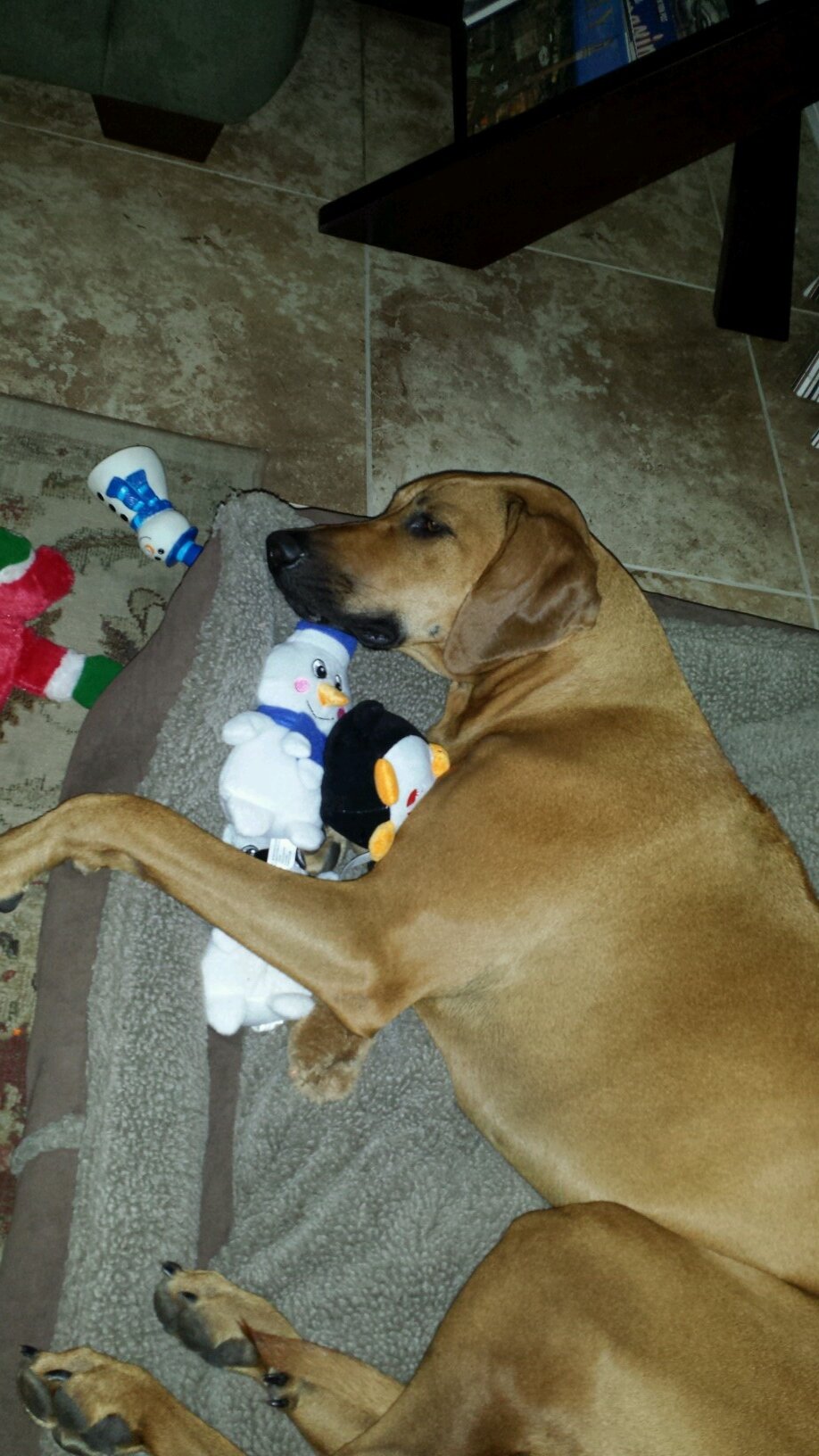 savannahsheba's profile picture. 