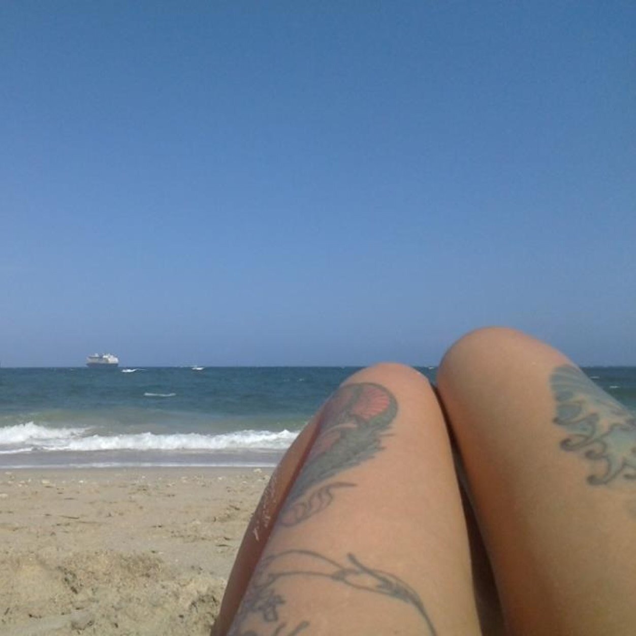 fotobasics's profile picture. 