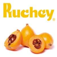 Ecommerce de venta de Nísperos y derivados (mermelada, dulce, cerveza, licor, miel...), RUCHEY es la marca de la Coop. de Callosa d’en Sarrià