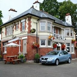 A great country pub where you'll receive a warm welcome, home cooked food and great beer. You won't want to leave.