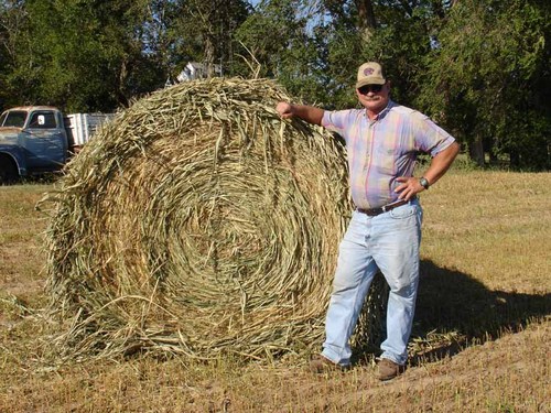 dicksonjdd's profile picture. 