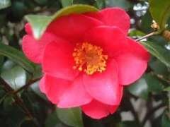 trees333's profile picture. フィギュアスケートファン歴20年以上です。応援しているスケーターはたくさんいますが、真央ちゃん大ちゃんを心底応援しています！ 現地観戦できる方々のレポもとても楽しく拝見しています。 どうぞよろしくお願いいたします。