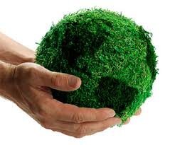 A project for sustainability and conservation of earth and it's fullness. 
IG/Conservearth 
Fb/Conservearth
...we've gone-a-greening!