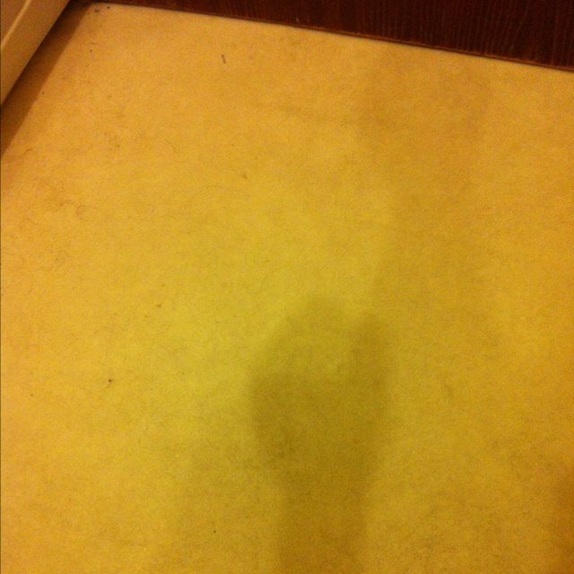 fatcock44's profile picture. 