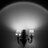 Camerabert's profile image