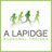 alapidgefitness's profile image