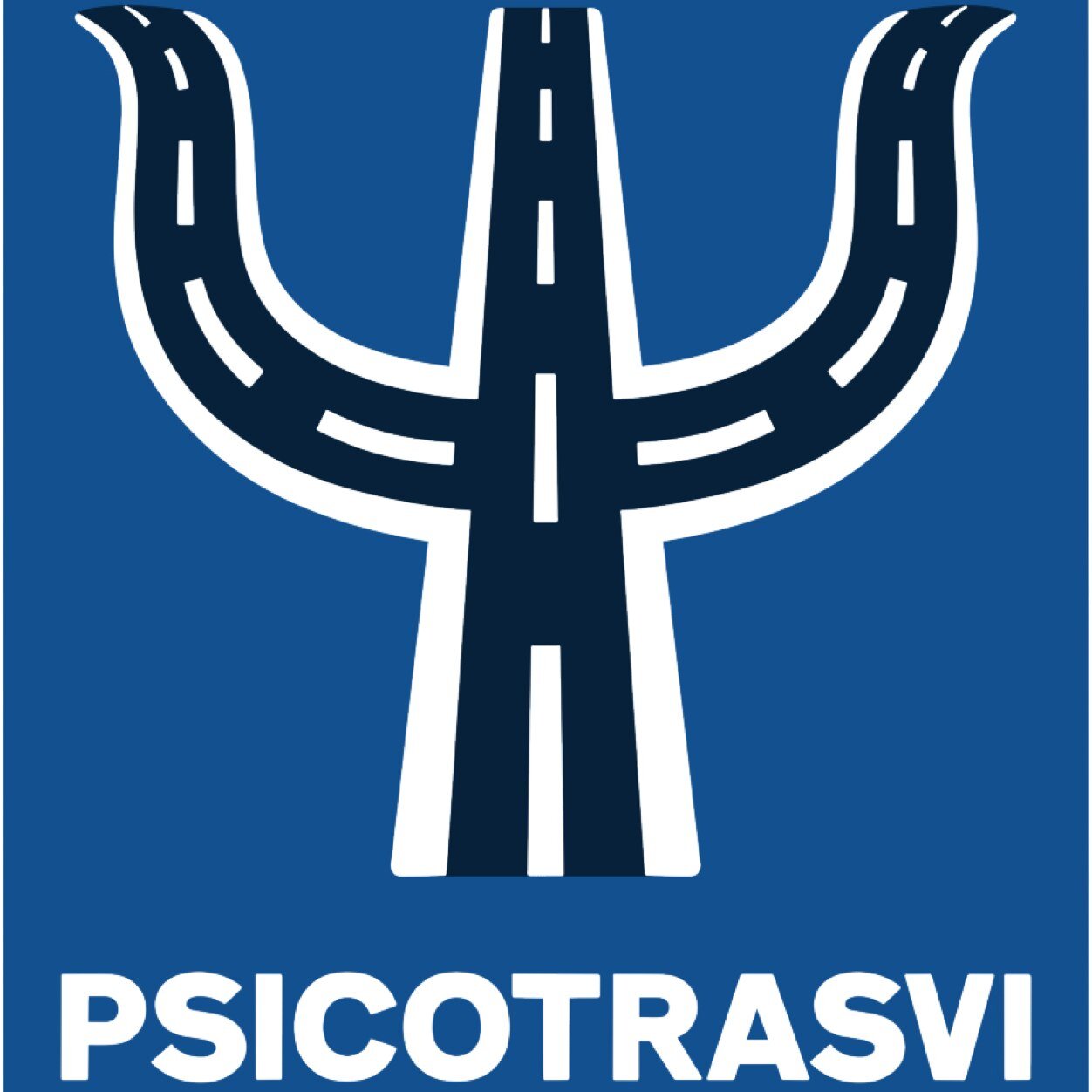 ASOCIACIÓN ESPAÑOLA DE PSICOLOGÍA DEL TRÁFICO Y LA SEGURIDAD VIAL.