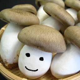 しめじさんのプロフィール画像
