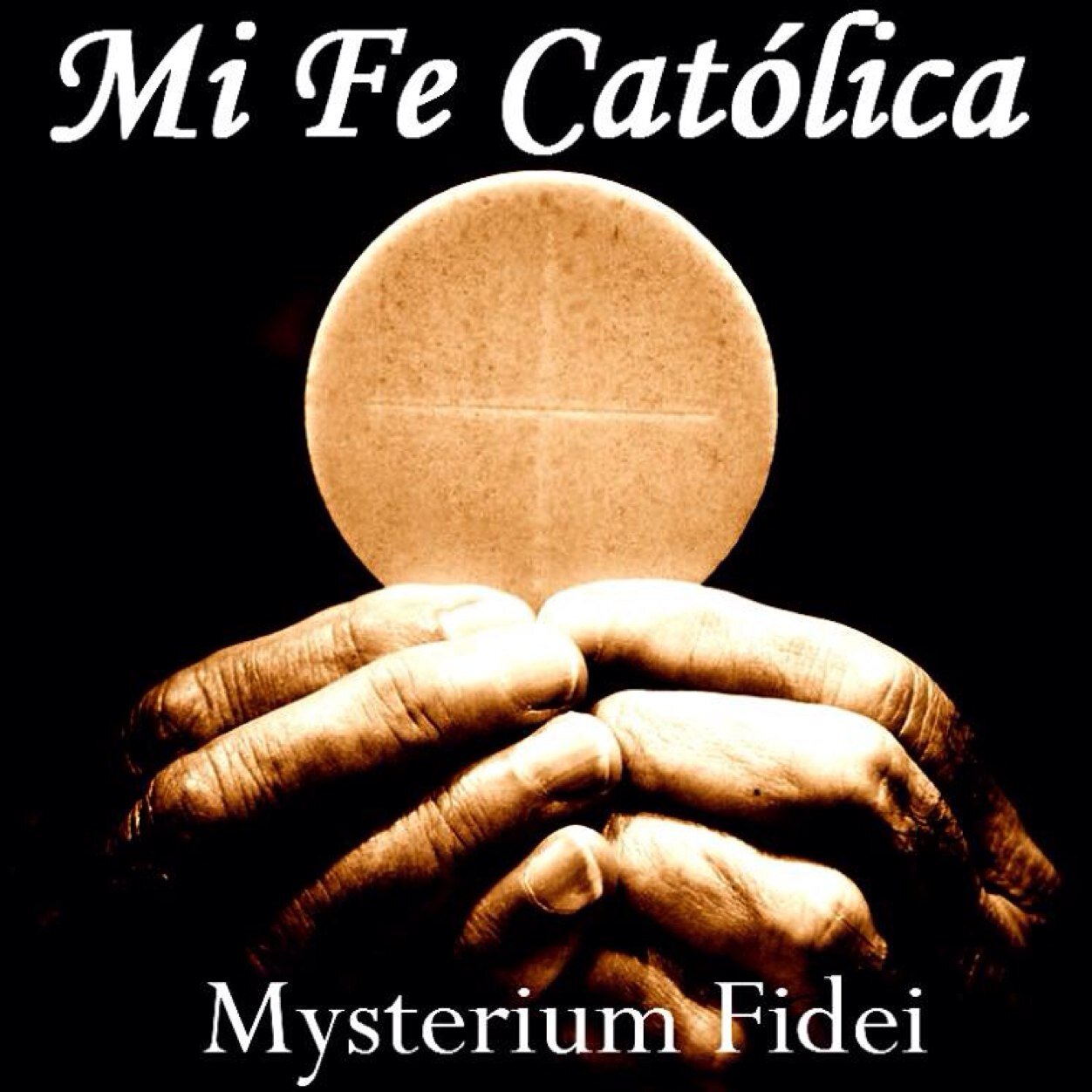 mifecatolica's profile picture. Este es un espacio de encuentro con la VERDAD (Cristo). Pertenecemos al A.C. EVANGELIUM. Nuestro objetivo es que nuestros seguidores alcancen la santidad.