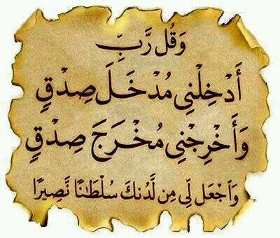 mahamdsaeed96's profile picture. 