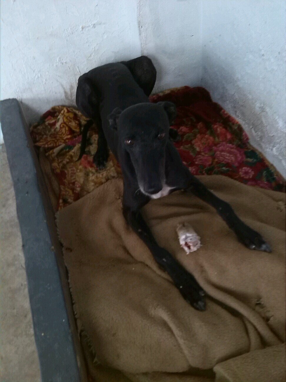 Pinxita23's profile picture. 