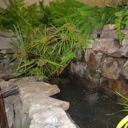 Annually the AAHBA sponsors the Athens Home & Garden Show.