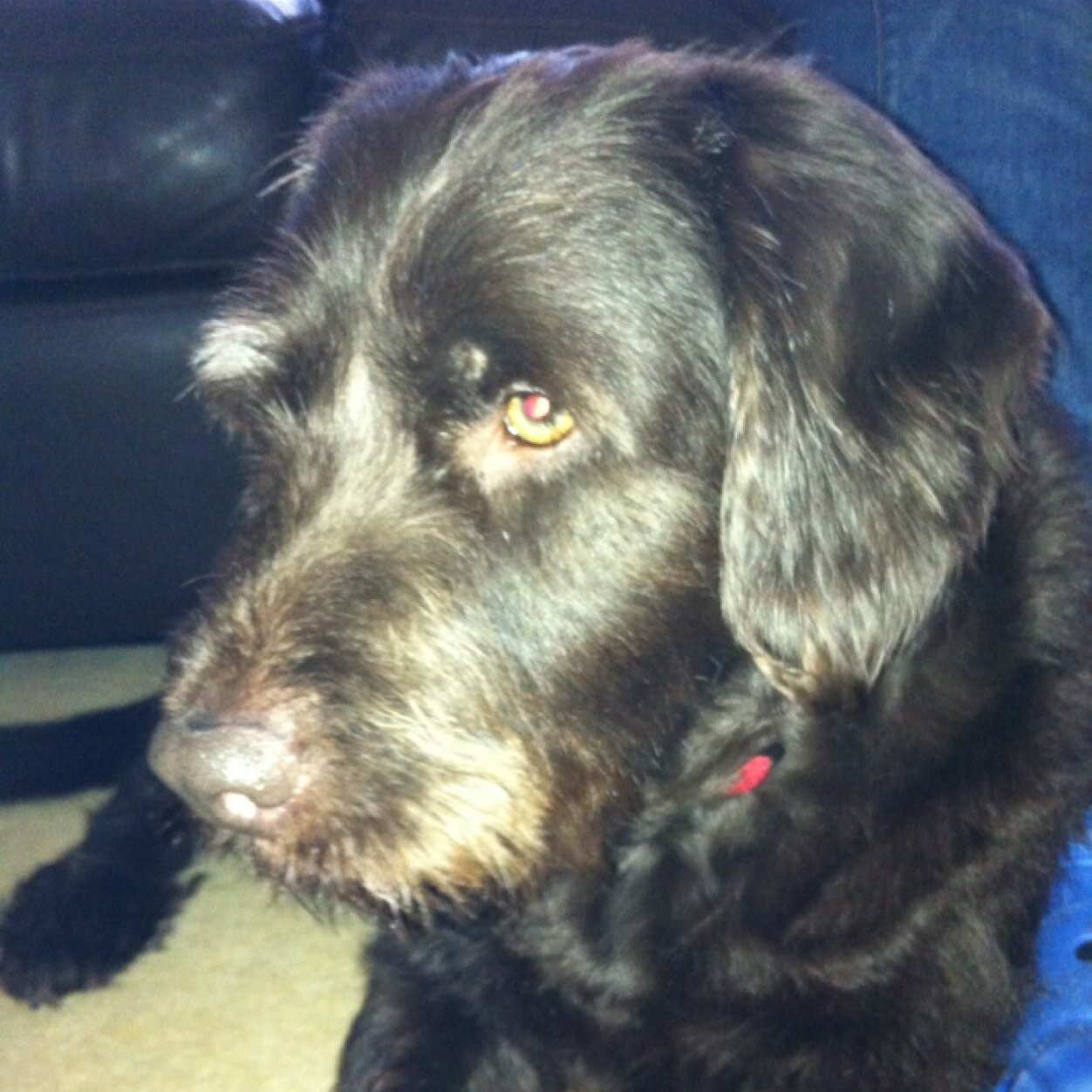 HudsonClar's profile picture. 