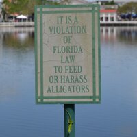 Mandy (@mandyorch) 's Twitter Profile