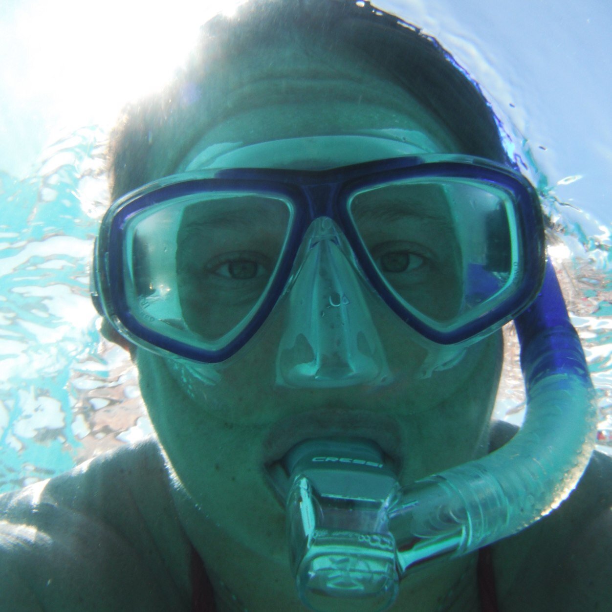 eBook developer, stadium junkie, scuba diver, Vikes fan, adventure seeker. Fins up!