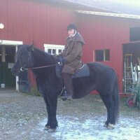 Magnus Norell (@navahoscout) 's Twitter Profile Photo