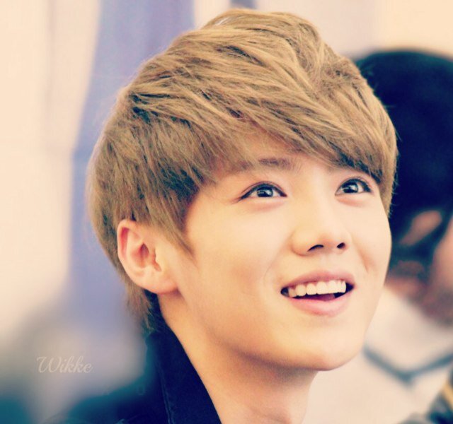 exo_xoshop