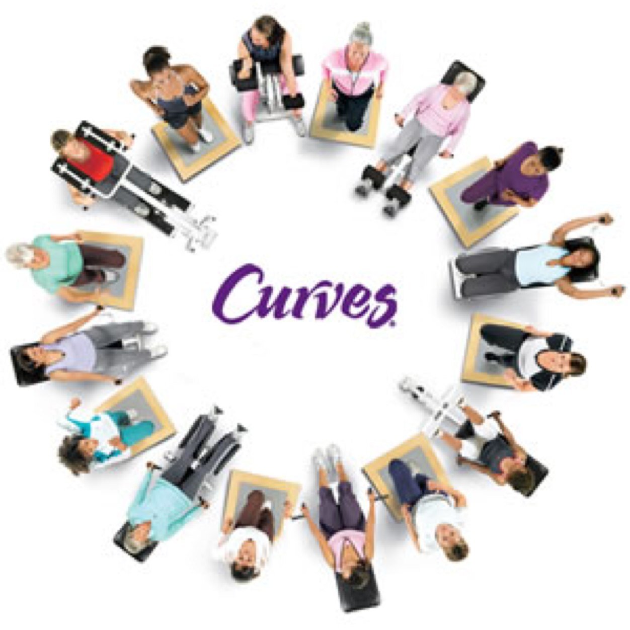 CurvesOfTrow's profile picture. 