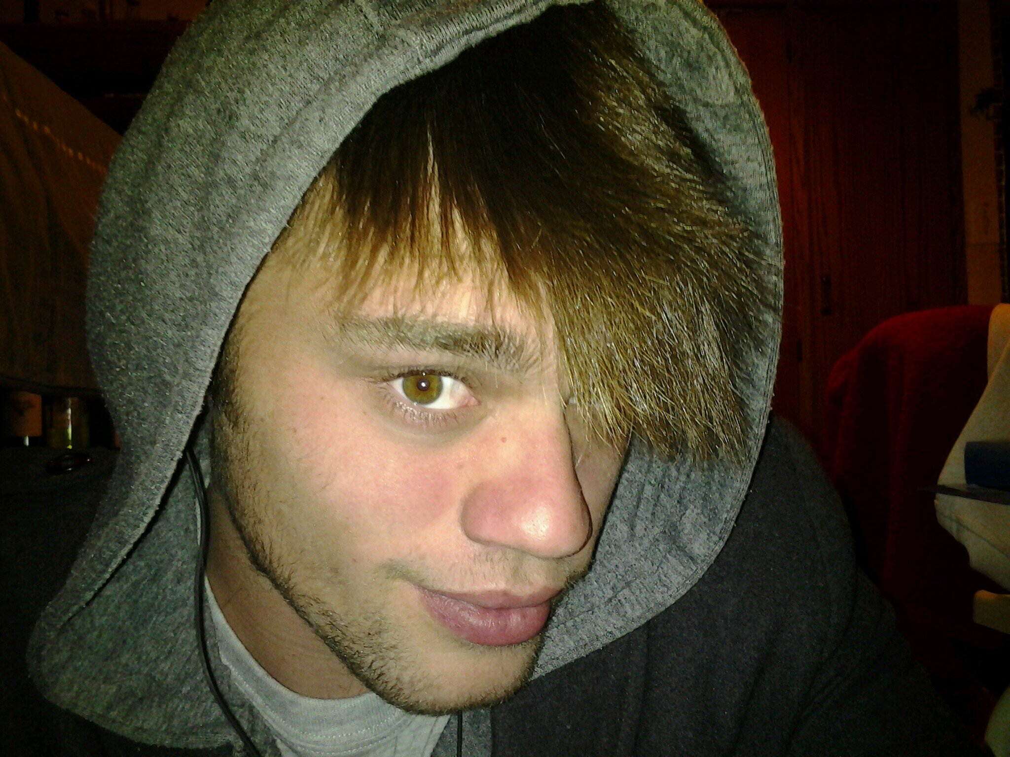 NicoHTML's profile picture. 