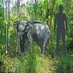 Pygmy Elephants (@pyg_eleph) Twitter profile photo