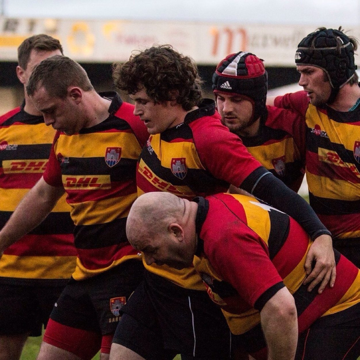 joshsturdy's profile picture. 