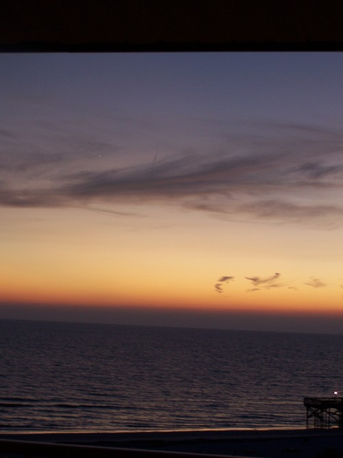 irishnikita's profile picture. 