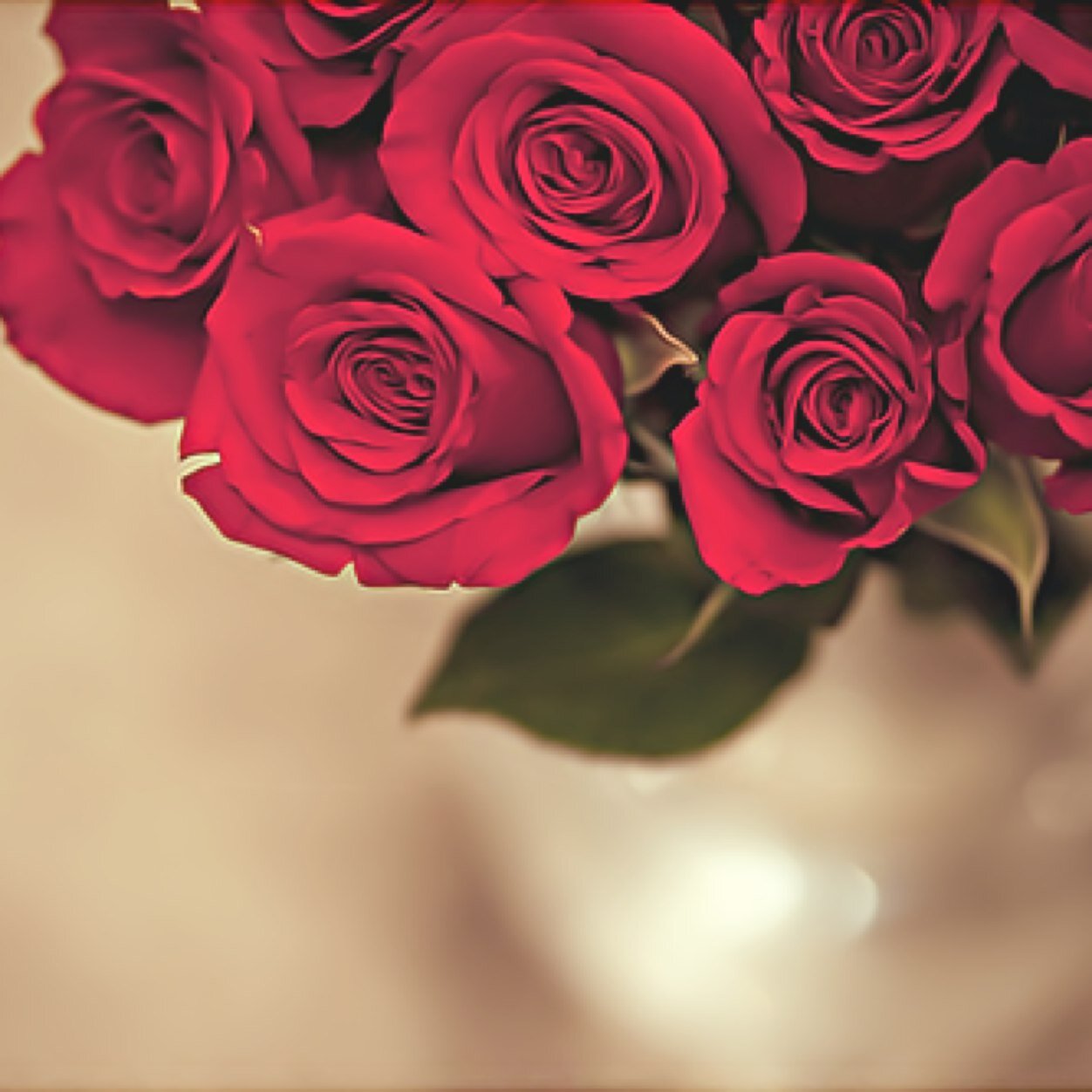 ليس جمِيع مآ أنثره ,, هُنا ,, من ڪتابآتي ! ولڪَن ؛ أنثرُ ما تروق لهُ أذني .. و ما تميل لهُ عينايْ .. و ما يتحسسهُ قلبي و يثير مشاعِري ~ بنت سلمان