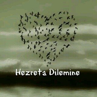 Koerdiiische's profile picture. | kurdistan my life ♡ | #FreeSyria