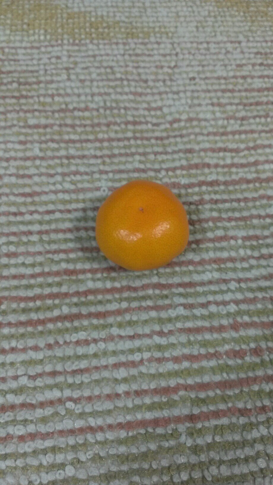 とっくの昔に成人済みです。中年。闇落ちしました。チ。のオクバデ、アルラファ、ラファ受を求めてさまよっています。他のジャンルもいろいろと