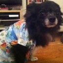 Robin St Clair - @Robin_OhBabyLDN - Twitter