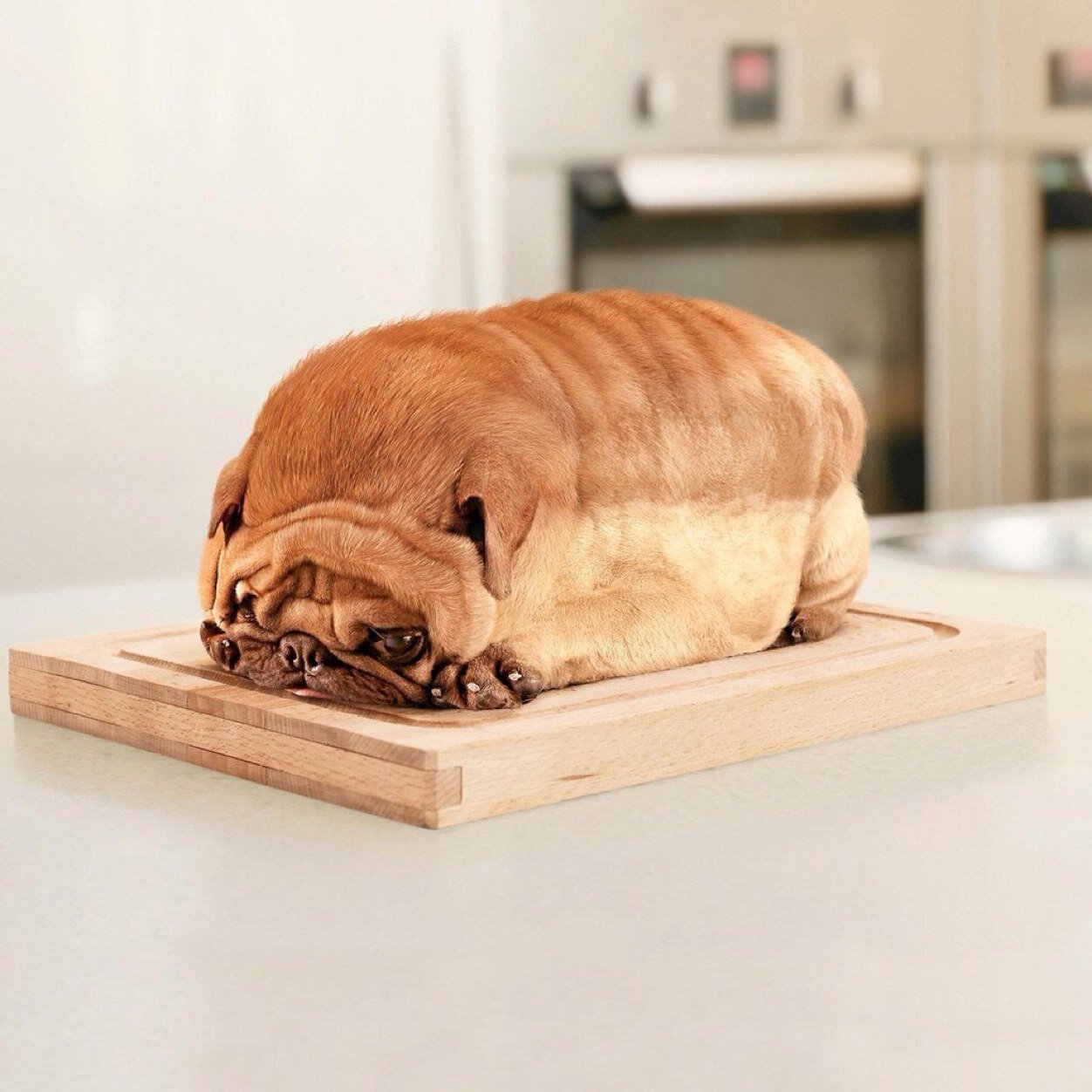 LabiJokiPriekam's profile picture. Tas lai labāks garstāvoklis :)