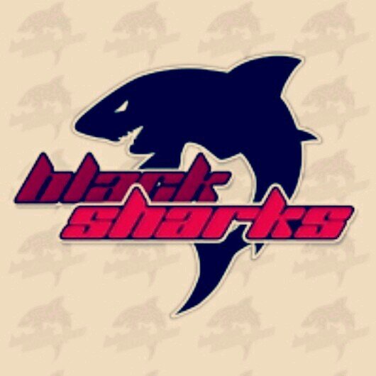 French Competitive Player in @TeamBlackSharks - 15yo - Student - Only PSN : BS-RZ - #BSharksNation