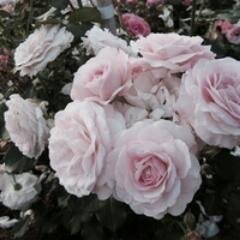 LOVE MBMBLOG! 3 4EVER